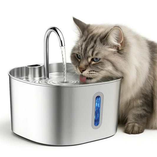"Meine Katze trinkt nicht!" - Die stille Gefahr in deutschen Haushalten! - Be & Lu Shop