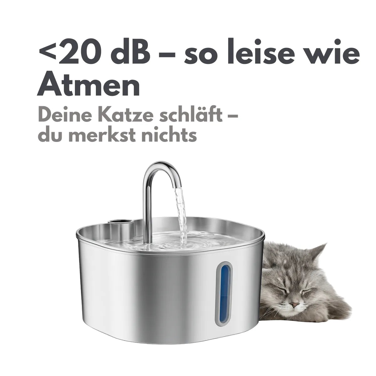 GESUNDE NIEREN – JEDEN TAG MIT DEM NR.1 EDELSTAHL-KATZENBRUNNEN