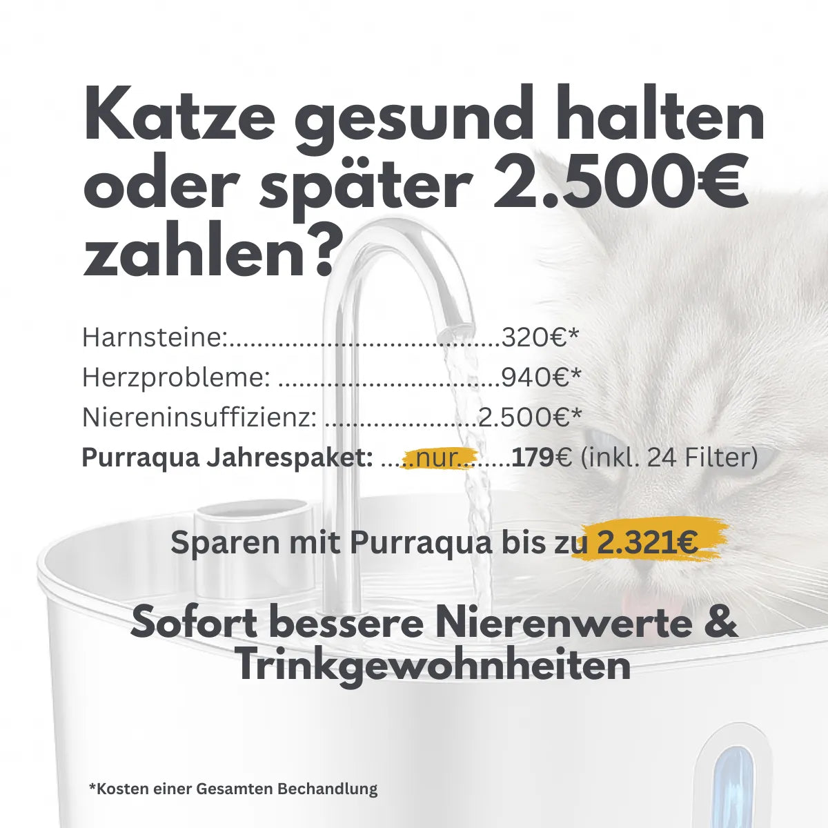 GESUNDE NIEREN – JEDEN TAG MIT DEM NR.1 EDELSTAHL-KATZENBRUNNEN