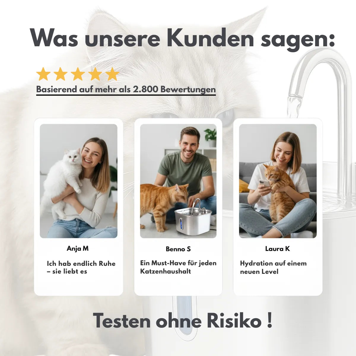 GESUNDE NIEREN – JEDEN TAG MIT DEM NR.1 EDELSTAHL-KATZENBRUNNEN